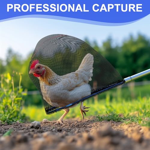 Chicken Catching Net 2 Pcs, Chicken Net for Chicken Supplies, Stainless Steel Poultry Catcher for Catching Small Chicken, Goose, Ducks, Fish, Birds(2 Nets, 1 Pole Included