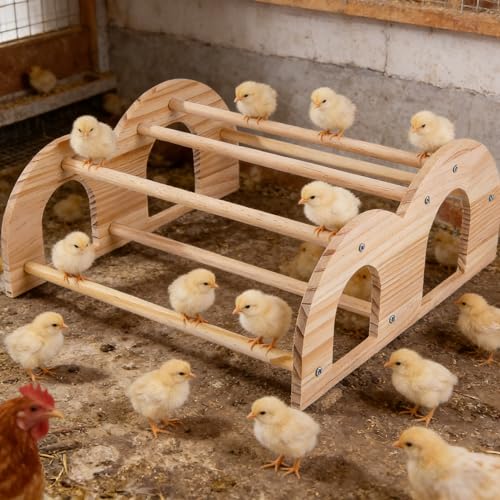 Double Layer Wooden Chicken Perch, Baby Chick Roosting Bars in Coop and Brooder, Chicken Toys, Coop Accessories for Large Bird - color: Double Layer Chick Perch