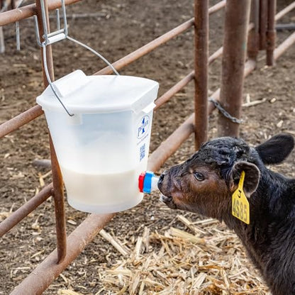 Premier 1 Orphan Calf Milk Feeding Bucket - 2 Gallon
