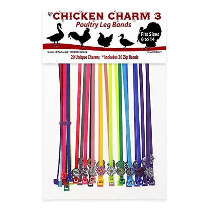 20 Chicken Charm 3 Poultry Leg Bands - Hero Pack