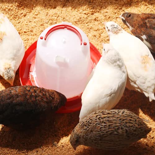 Chicken Feeder and Waterer Kit -1.5KG Poultry Chick Feeder and 1.5L Chicken Waterer with 2pcs “S” Hooks,Plastic Hanging Poultry Quail Feeder and Waterer Set for Coop