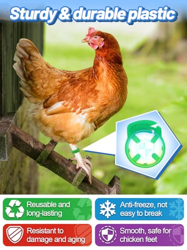 MEWTOGO 17-23mm Adjustable 100 Pcs Chicken Leg Bands - Colorful Numbered Chicken Identification Leg Rings, Durable Poultry Leg Bands for Ducks Goose Turkey Small Birds