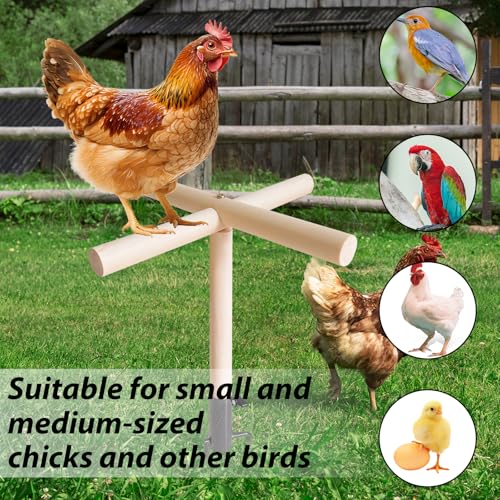 Chicken Gifts for Women, Chicken Coop Accessories, Christmas Birthday Gifts for Chicken Lovers, Chicken Roosting Bars Perch & Swing Toys for Coop, Chicken Ladder Playground for Chicks