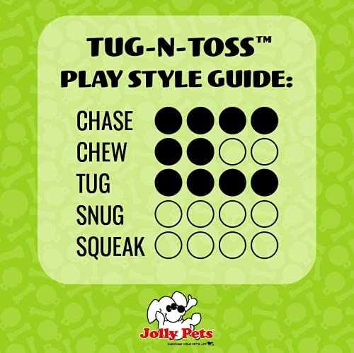 Jolly Pets Tug-n-Toss Heavy Duty Dog Toy Ball with Handle, 10 Inches/X-Large, Purple - color: Purple, size: XL (10 in)