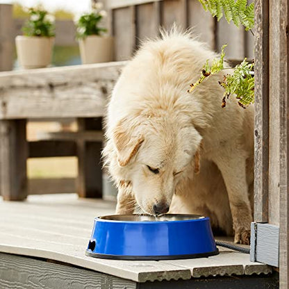 Farm Innovators Signature Series 3 Quart 40 Watt Electric Heated Pet Water Bowl with Stainless Steel Insert, Thermostatic Control, (2 Pack) - size: 3 Qt