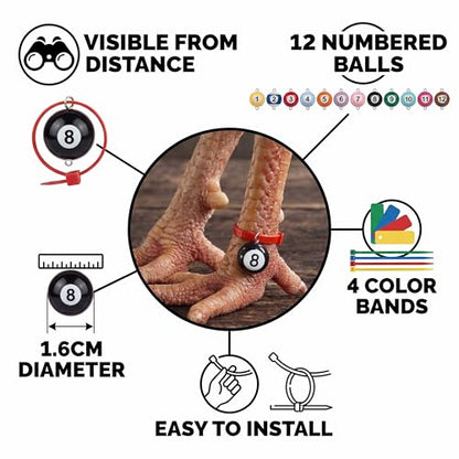 Colored & Numbered Chicken Leg Bands, 12 Billiard Ball Style, 1.6cm | Poultry Identification, Chicken & Goose Compatible, Colorful Rings