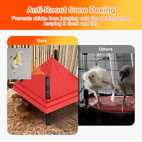 ZenxyHoC Brooder Plate for Chicks with Anti-Roost Cone, Chick Brooder Heater Red 10" x 10" with Constant Temperature - size: 10" x 10" with Constant Temperature