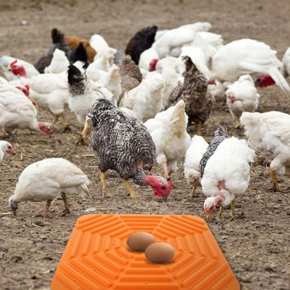 Ipetboom 2pcs Silicone Chicken Nesting Box Pads Washable Bedding Mats for Chicken Coop Nest Building -Prevent Rolling Design Grey for Poultry Care