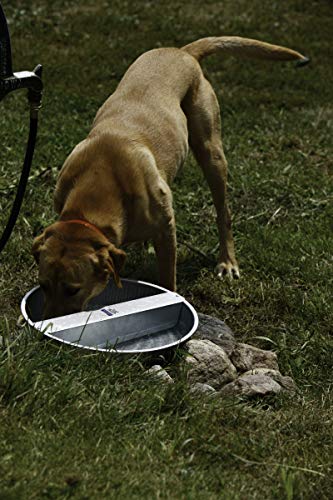 LITTLE GIANT Automatic Pet Waterer - Pet Lodge - Steel Ever Full Pet Bowl, 13 Quart (Item No. PW13) - size: 3.25 gallon