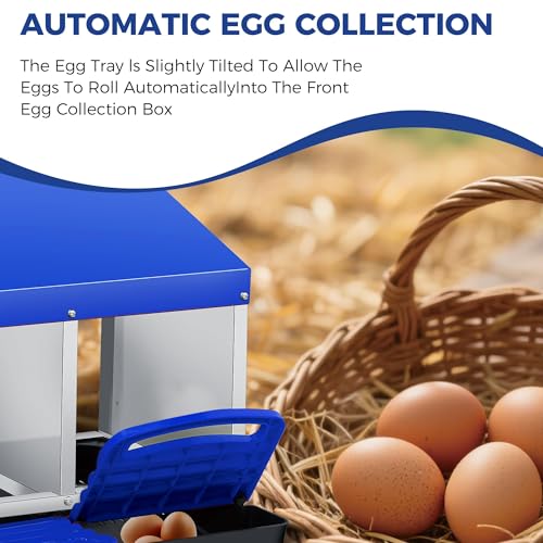 Garvee Metal Chicken Nesting Box - Automatic Roll-Away Egg Tray - 4-Compartment Double Layer, Galvanized Steel, Easy to Clean, Wall Mount or Freestanding, Blue - color: Blue, size: 4 holes 2 Tire