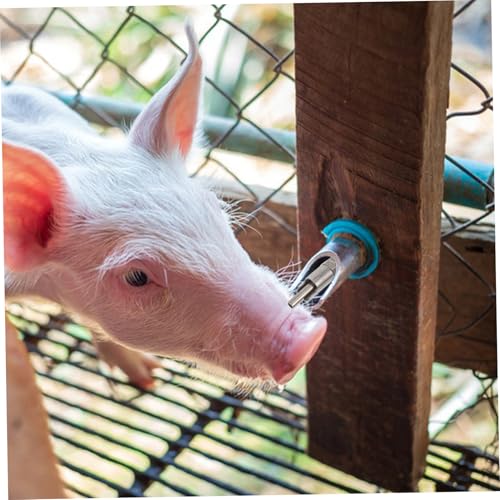 BESPORTBLE Pig Nipple Water Drinkers Livestock Waterer Stainless Steel Pig Waterer Piglets Drinking Dispenser No Waste Design