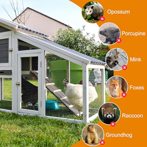 Gardeal 48in x 50ft 19 Gauge 1/2 Inch Hardware Cloth - Double Hot-Dipped Galvanized After Welding Steel Mesh - Duty Rust Proof Fencing for Gardens, Chicken Coops & Poultry Animal Netting Cage Screen - size: 48X50