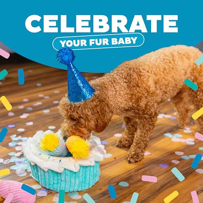 Outward Hound Hide-A-Birthday-Cake Dog Toy – Interactive 2‑in‑1 Plush Puzzle with 3 Squeaky Removable Candles - color: Birthday Cake