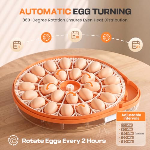 26 Egg Incubators for Hatching Eggs with Smart Voice Control & Two Interchangeable Egg Trays for Needs- Auto Turner, Temp/Humidity Control, Egg Candler for Chicken Duck Quail