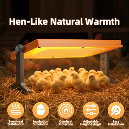 Chick Brooder Heater Plate, 12"x7.9" Warm Brooder Plate for Chicks Poultry | Chicken Brooder with Adjustable Height, Angle & Temperature, 50W Heat Plate for Chicks Poultry, Warm like Mother Hen