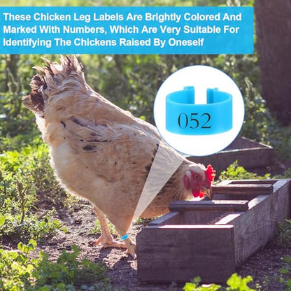 240 Pcs 20mm Plastic Chicken Leg Bands, Color-Coded Leg Bands for Chickens & Farmers