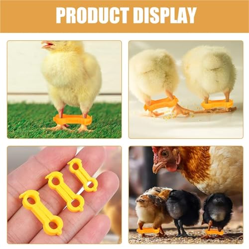 Chicken Leg Bands 60 Pcs Chick Leg Correction Brace PVC Adjustable Splay Support for Chicks Healthy Growth Reusable Poultry Care