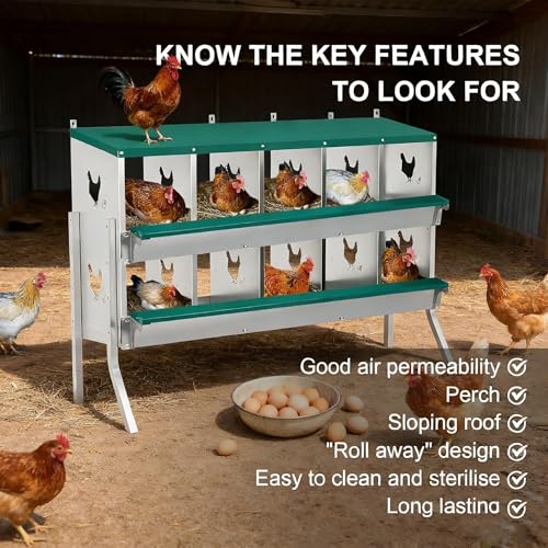 10-Compartment Chicken Nesting Box, Heavy Duty Galvanized Steel Poultry Nest Box, Wall Mount/Freestanding Design for Hens, Ducks, Backyard Homesteads & Farm Use, Green, 10 Mats &4 Eggs, with Stand - color: Green, size: 10 Room&Mat eggs