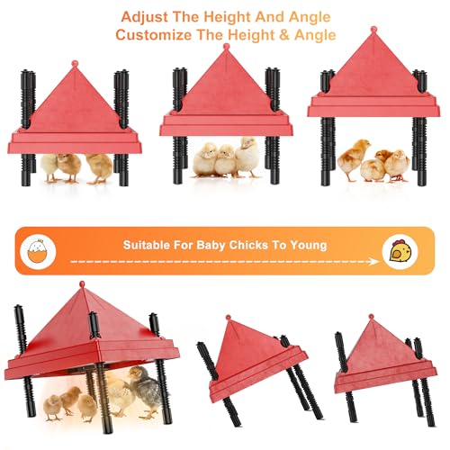 ZenxyHoC Brooder Plate for Chicks with Anti-Roost Cone, Chick Brooder Heater Red 10" x 10" with Constant Temperature - size: 10" x 10" with Constant Temperature