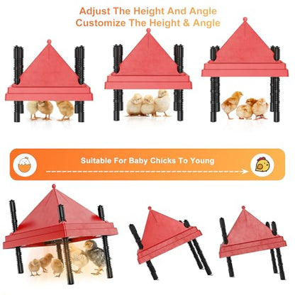 ZenxyHoC Brooder Plate for Chicks with Anti-Roost Cone, Chick Brooder Heater Red 10" x 10" with Constant Temperature - size: 10" x 10" with Constant Temperature