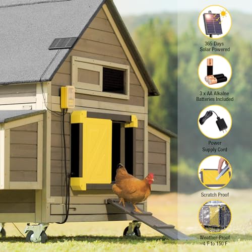 Aivituvin Automatic Chicken Coop Door Solar Powered, Automatic Chicken Door with LCD Display, Direct Power Supply Auto Chicken Door Opener with Timer for All Chicken Coops (Black)