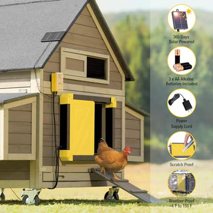 Aivituvin Automatic Chicken Coop Door Solar Powered, Automatic Chicken Door with LCD Display, Direct Power Supply Auto Chicken Door Opener with Timer for All Chicken Coops (Black)