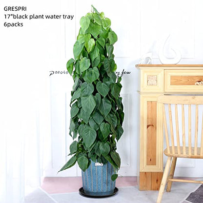 18 Inch Black Plant Saucer for Indoors, 6 Packs Large Plant Trays 16 inches in Base, Heavy-Duty Pot Containers 10 Gallon Grow Bag Saucer for Outdoors.