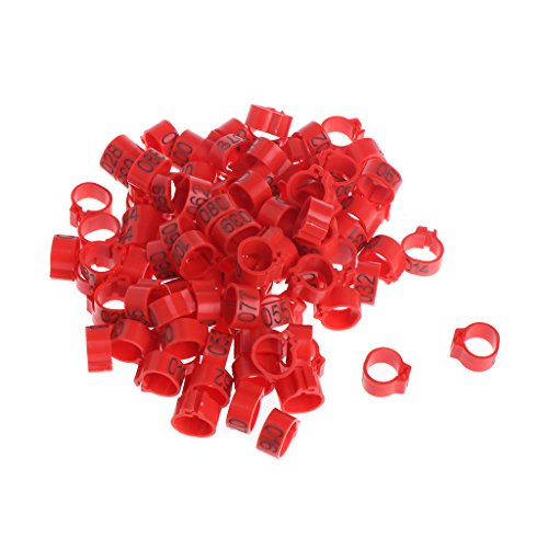 100pcs Chicken Bird Leg Rings Birds Identification Leg Bands Poultry Leg Rings 10mm for Pigeons Quail, Red - size: Red