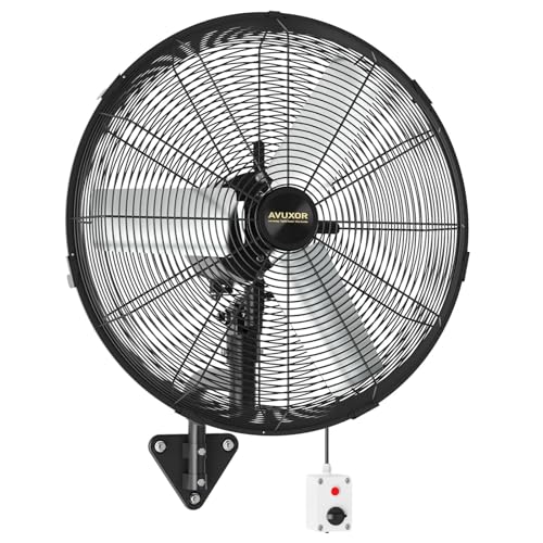 20'' Outdoor Wall Mount Fan, 4 Speed Oscillating Wall Fan with All Sealed Brushless DC Motor, Heavy Duty Industrial Fans, Waterproof Fans for Patios, House, Garage, Commercial, Warehouse, Factory - color: 20-inch