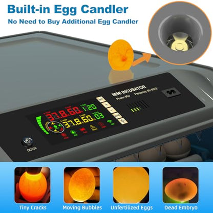 Egg Incubator for Hatching Eggs - Chicken Egg Incubator with Automatic Egg Turning, Humidity Control, Water Adding System, Egg Candler, Ideal for Chicken, Duck, Quail Eggs (24 Eggs) - size: 22 Eggs