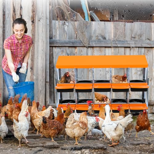 10-Hole Chicken Nesting Box, 2-Tier 10 Compartment Metal Roll Away Egg Laying Box with Lid & Legs, Easy Egg Collection, Galvanized Steel Rustproof Poultry Laying Boxes for Hens, Ducks, Farm, Yard - size: 10 holes with legs-Orange