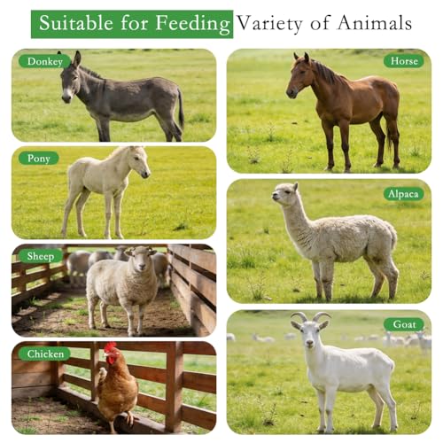 4Pcs Large Rubber Feeder Pan, 3 Gallon Horse Feed Bucket Water Bowl, Heavy Duty Horses Feed Bucket Dog Bowl Horse Feeder Pan for Cats Dogs Goats Chicken Dust Bath Container Farm Animal Feeding