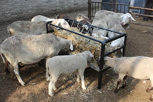 Pasture Hay Feeder for Goats, Sheep, Miniature Horses and Small Livestock,5 Feet Long, Black