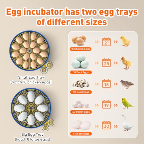 MYPIN 18 Chicken Eggs Incubator with Temperature Control, Humidity Display, Auto Egg Turning, Auto Water Filling, 2 Size Egg Trays, Chick Incubaotrs for Hatching Eggs Digital Incubator for Chicken