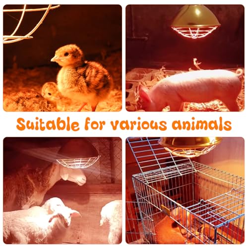 Large Chicken Coop Heat Lamp with 250w Infrared Heat Bulb, Adjust 2 Mode Temperature&Hanging Height,with Aluminum Reflector for Coop Brooder,Cat,Puppy,Lamb