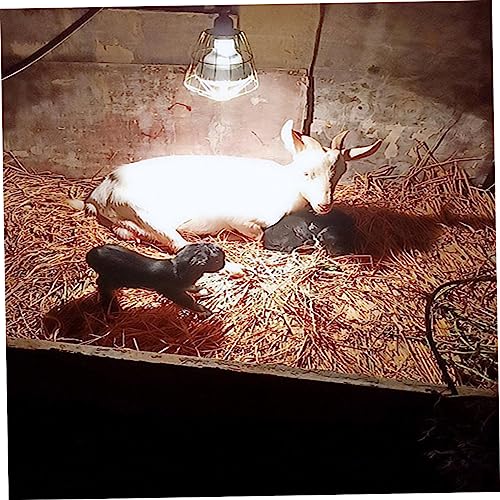 YARNOW 3pcs Heat Lamp Bulb Cages High-Temperature Resistant Light Covers for Reptiles and Livestock Easy Installation Anti-Scald Protection for Home Zoo Use