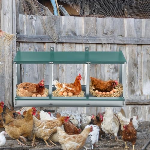 Chicken Nesting Box for Laying Eggs - 3 Room Chicken Laying Boxes, Nesting Boxes for Chickens, Heavy Duty Metal Chicken Coop, 32.9" L x 16.34" W x 15.35" H - size: 32.9" L x 16.34" W x 15.35" H