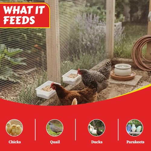 My Favorite Chicken Cage Cup 27oz – Hanging Chicken Feeder & Hanging Chicken Waterer for Chick, Quail, Duck, Parakeet – Small Poultry Waterer & Feed Dish – Cage & Coop Accessories - color: White