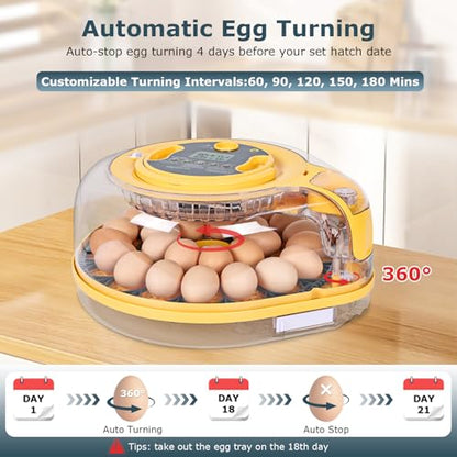 Egg Incubator, 26 Chicken/59 Quail Eggs Incubators for Hatching Eggs with Temp & Humidity Control, Auto Egg Turner, Adjustable Hatch Day & Air Vent, Egg Candler, Auto Water Refill, 360° Clear View - size: 26 Chicken Eggs