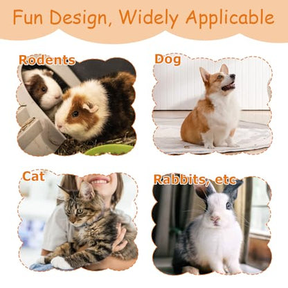 3Pcs Guinea Pig Toys, Washable Guinea Pig Slow Feeder Treat Dispenser Toy, Boredom Relief and Foraging Fun(Yellow, Orange, Blue)
