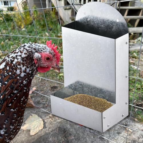 Baoblaze Chicken Feeder Automatic Coop Dispenser Poultry Versatile Portable Farm Food Container Grit Feeder for Duck Pigeon Chook Hen