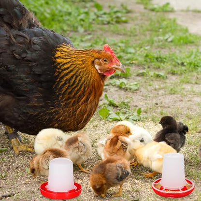 Chicken Feeder and Waterer Set Ducklings Quail Feeders Poultry Baby Chick Plastic Drinker and Waterer Kit for Farm and Brooder Use 4" X 3.5"