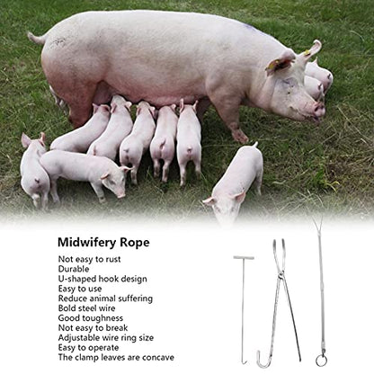 Zerodis Pig Midwifery Tools Set, Stainless Steel Veterinary Midwifery Rope Pliers Hook Pig Breeding Equipment Livestock Tool(3pcs)