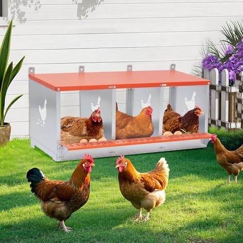 Galvanized Steel Chicken Nesting Box 3 Bay Wall Mounted Predator Proof for Hens and Ducks Easy Egg Collection Vented Design Easy Assemble Orange Coop Equipment (3 Compartment) - size: 31.8"L x 17.0"W x 15.0"H