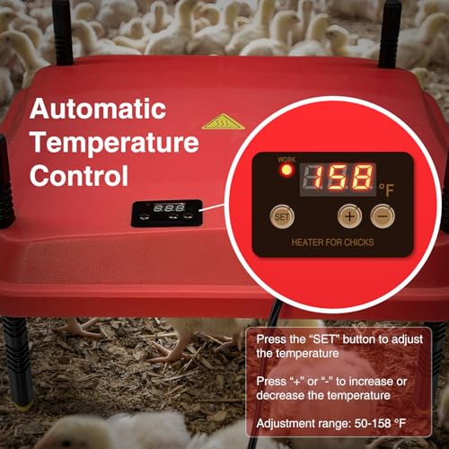 Chick Brooder Plate Coop Heat Plate for Baby Chicks 16"×16" with Adjustable Height & Angle and Auto Temperature Control, Heater with Skirt to Mimic the Comfort of a Mother Hen, Red - size: 16.0"L x 16.0"W x 8.9"H