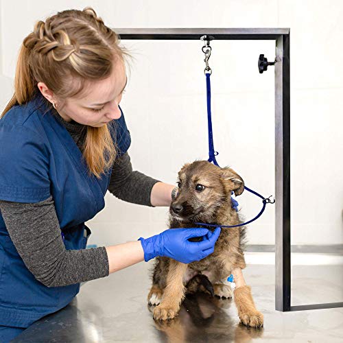 Jelly Pet Grooming Loop for Dogs, Groomers Helper, BioThane Material is Easy to Clean, Waterproof & Durable Noose Loop, Fits Most Pet Grooming Tubs/Tables/ 3/8” x 24” W/Ring Hot Pink - color: Hot Pink, size: 3/8” x 24”