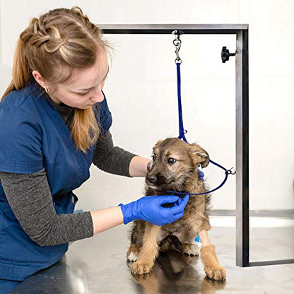 Jelly Pet Grooming Loop for Dogs, Groomers Helper, BioThane Material is Easy to Clean, Waterproof & Durable Noose Loop, Fits Most Pet Grooming Tubs/Tables/ 3/8” x 24” W/Ring Hot Pink - color: Hot Pink, size: 3/8” x 24”