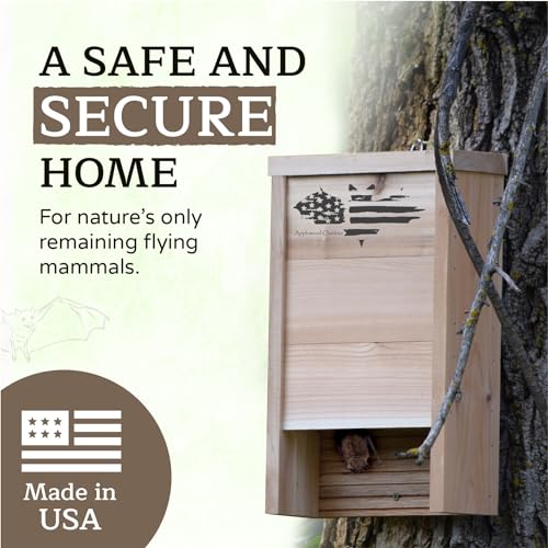 Made in USA- Premium-Grade Red Cedar Single-Chamber Bat Box, Easy-to-Install Wooden Bat House Kit, Weather-Resistant for Outdoors, with Mounting Screws - Applewood Outdoor - style: Single Chamber Cedar
