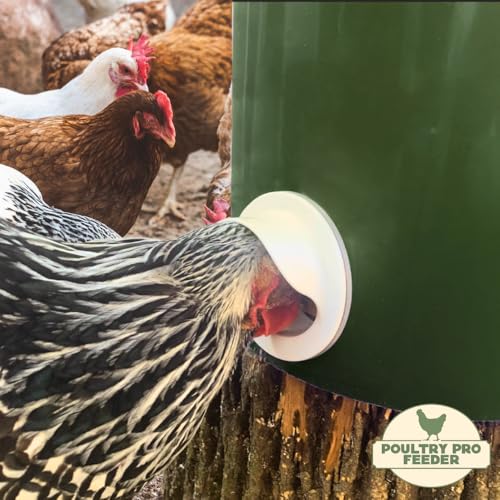 The Original Poultry Pro DIY Chicken Feeder Kit - Single Port Weatherproof - As Seen On Shark Tank, Gravity Fed Chicken Feeder, for Buckets, Bins & Troughs (Bucket & Hole Saw Not Included) - 1 Port - style: Original Feeder 1 Pack