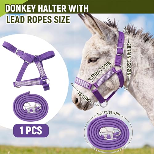 1 Set Miniature Donkey Halter with Lead Ropes, Cute and Stylish Adjustable Nylon Head Collar Set for Miniature Donkeys (Purple) - color: Purple